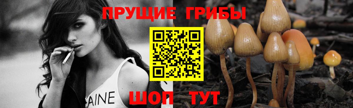 Галлюциногенные грибы прущие грибы  Вход с VPN  Грязи 